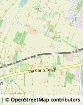 via dei Prati Vecchi, 10,42025Cavriago