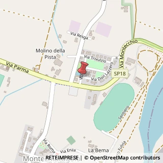 Mappa Via Borra, 2, 43022 Montechiarugolo, Parma (Emilia Romagna)