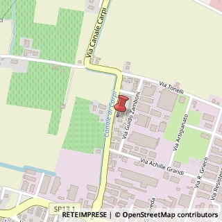 Mappa Via Canale Carpi, 38, 41011 Campogalliano, Modena (Emilia Romagna)
