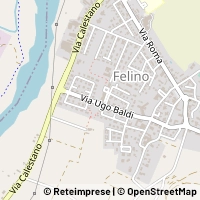 Kort Felino