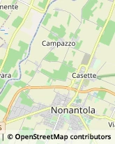 Aziende Agricole Nonantola,41100Modena