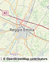 Autotrasporti Reggio nell'Emilia,42124Reggio nell'Emilia