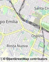 Autotrasporti Reggio nell'Emilia,42100Reggio nell'Emilia