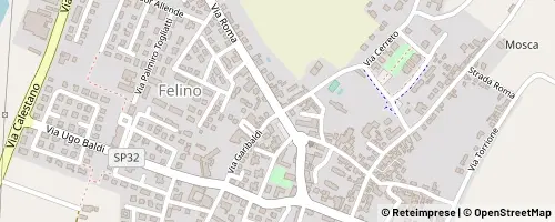 Mappa Felino