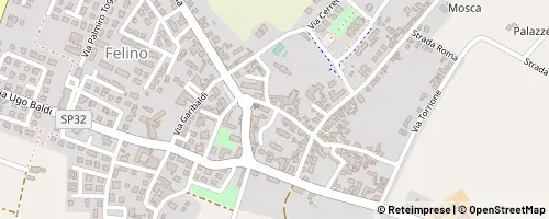 Mappa Felino