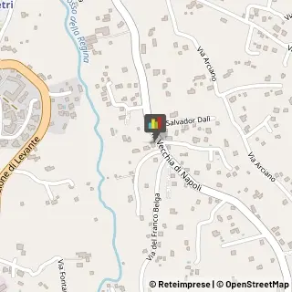 Panetterie Velletri,00049Roma