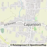 Map Capannori