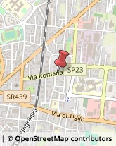 Via Romana, 335,55100Lucca