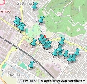 Mappa CAP, 50019 Sesto Fiorentino FI, Italia (0.5095)