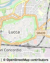 Via Giovanni Carignani, 38,55100Lucca