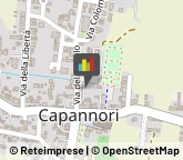 Agenti e Mediatori d'Affari,55012Lucca