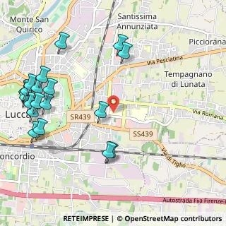 Mappa All'interno della piscina I.T.I, 55100 Lucca LU, Italia (1.4315)