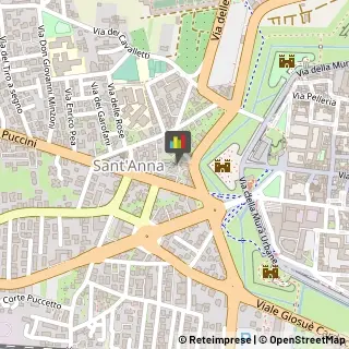 Consulenza Informatica,55100Lucca