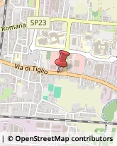 Via di Tiglio, 264,55100Lucca