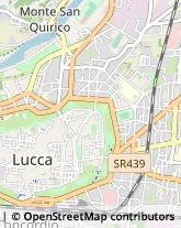 Istituti di Bellezza Lucca,55100Lucca