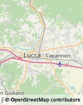 Consulenza del Lavoro Lucca,55100Lucca