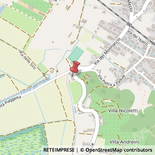 Mappa Via Pietra a Padule, 1181, 55054 Massarosa, Lucca (Toscana)