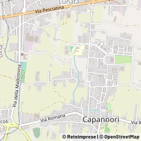 Mappa 55012