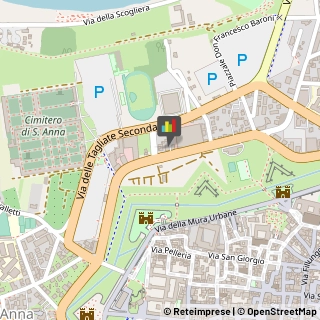 Consulenze Speciali,55100Lucca