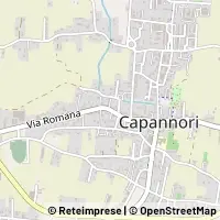 Hartă Capannori