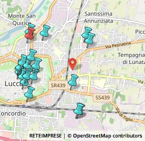 Mappa Traversa IV di Viale Castracani, 55100 Lucca LU, Italia (1.273)