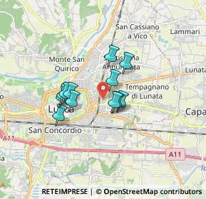 Mappa Traversa IV di Viale Castracani, 55100 Lucca LU, Italia (1.245)