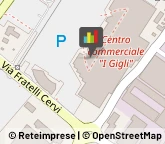 Guanti da Lavoro Campi Bisenzio,50013Firenze