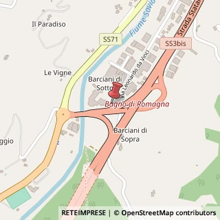 Mappa Via Leonardo da Vinci, 52, 47021 Bagno di Romagna, Forlì-Cesena (Emilia Romagna)