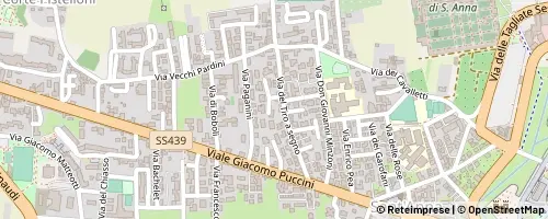 Mappa Lucca