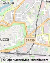 Idraulici e Lattonieri Lucca,55100Lucca