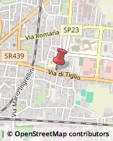 Via Giovanni Carignani, 38,55100Lucca