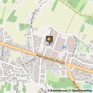 Brokers e Agenti di Assicurazione,55100Lucca