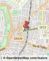 Via Romana, 95,55100Lucca