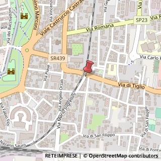 Mappa Via di Tiglio, 552, 55100 Lucca, Lucca (Toscana)