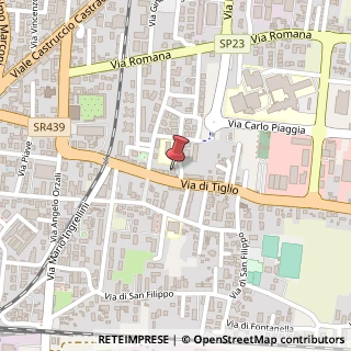 Mappa Via di Tiglio, 731, 55100 Lucca, Lucca (Toscana)