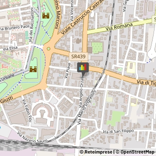 Trasporti con Containers,55100Lucca