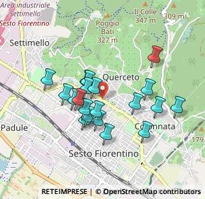 Mappa Via Napoli, 50019 Sesto Fiorentino FI, Italia (0.7395)