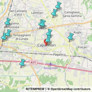 Mappa Via Carlo Piaggia, 55012 Capannori LU, Italia (2.56636)
