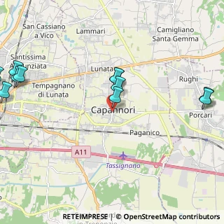 Mappa Via Carlo Piaggia, 55012 Capannori LU, Italia (2.78455)