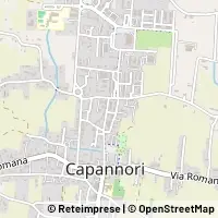 Map Capannori