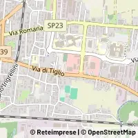 Map Lucca