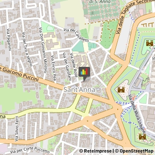 Pasticcerie - Produzione e Ingrosso Lucca,55100Lucca