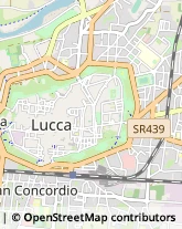 Associazioni ed Istituti di Previdenza ed Assistenza Lucca,55100Lucca