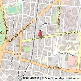 Mappa Via Romana, 228, 55100 Lucca, Lucca (Toscana)