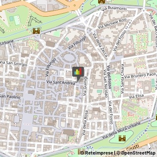 Minerali, Conchiglie e Fossili - Collezionismo,55100Lucca