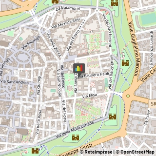 Professionali - Scuole Private,55100Lucca