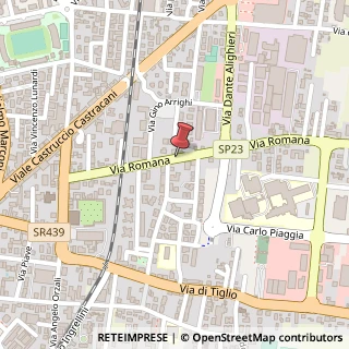 Mappa Via Romana, 335, 55100 Lucca, Lucca (Toscana)