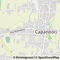 Kart Capannori