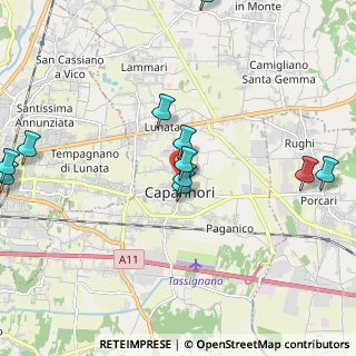 Mappa Via Cardinale A. Pacini, 55012 Capannori LU, Italia (2.61)