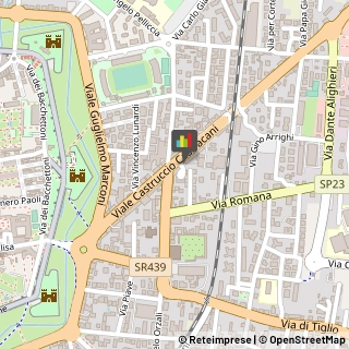 Pizzerie,55100Lucca